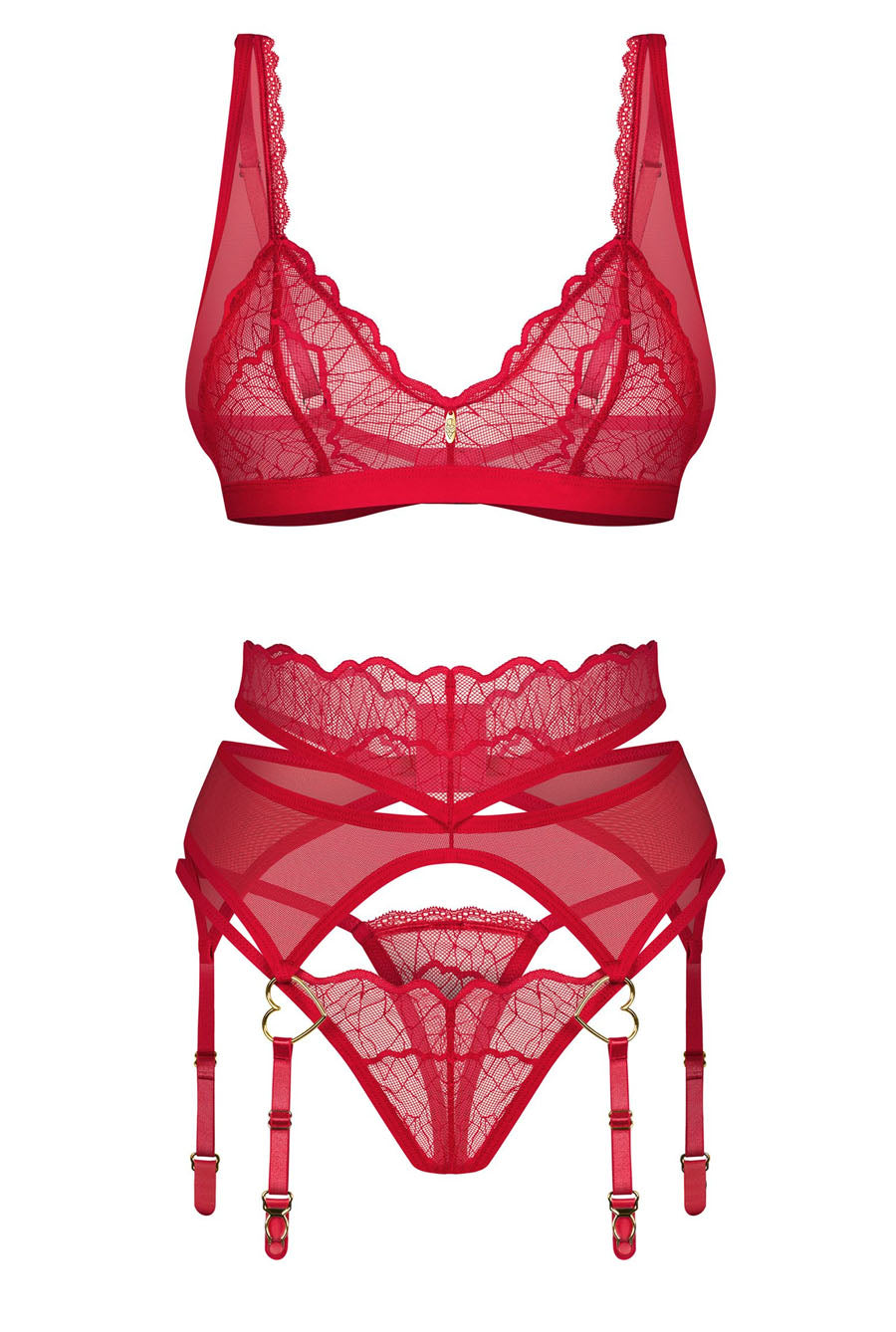 sheer red bra set