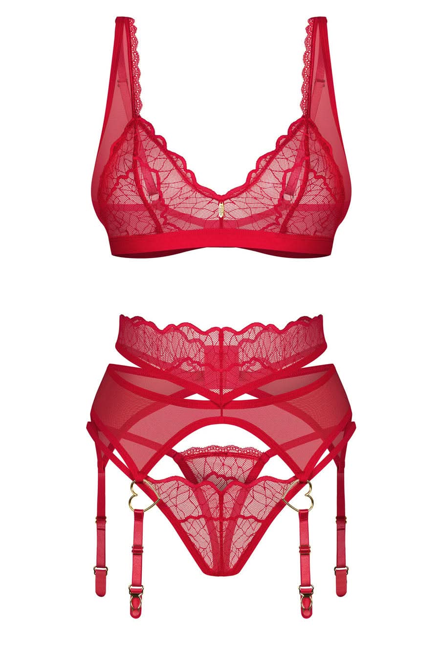 sheer red lace lingerie